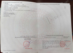 Bán nhanh 2 lô đất 364m2 mặt tiền Phan Văn Mảng – Bến Lức, giá 11 tỷ - SHR