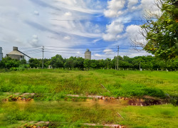 🌟 CHÍNH CHỦ BÁN LÔ ĐẤT MẶT TIỀN NGUYỄN TRUNG TRỰC, LONG AN