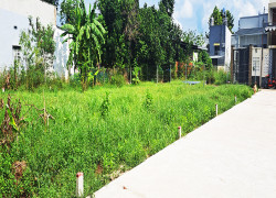 Cơ Hội Đầu Tư Đất Thổ Cư Giá Siêu Rẻ! Mua 1 được 2! Phường Bảo Vinh, T Đồng Nai