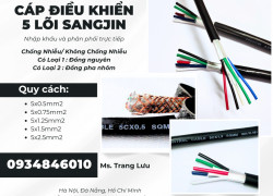 Cáp RVVP/ CXV 5x0.5/5x0.75/5x1.25/5x1.5/5x2.5 sẵn HCM