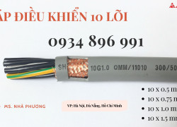 Cáp Tín Hiệu Chống Nhiễu 10 Lõi 10×0.5mm2 / 10×0.75mm2 / 10×1.0mm2 / 10×1.5mm2