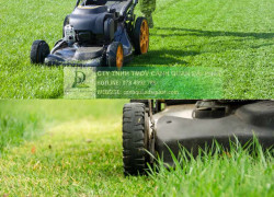 Bảo dưỡng Cảnh Quan Cây Xanh & Vệ Sinh Công Nghiệp tại KCN Sóng Thần, Bình Dương