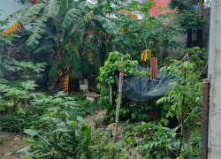 🌟 LÔ ĐẤT HIẾM – ĐẸP – RỘNG NGAY HÒA THỌ ĐÔNG – CHỈ 2,8 TỶ!