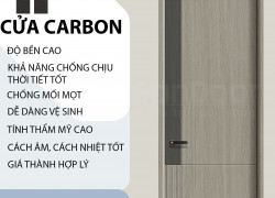 cửa gỗ carbon