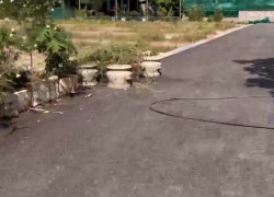 Bán đất Bạch Mai Đồng Thái An Dương Hải Phòng