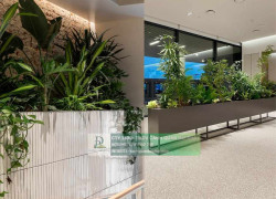 Chăm Sóc và Bảo Dưỡng Cây Xanh Văn Phòng Định Kỳ DPL