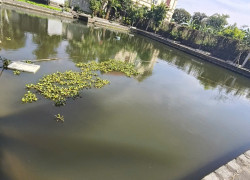 Bán Biệt Thự 3 Tầng 2000 M sân Vườn Đồ Sơn Hải Phòng