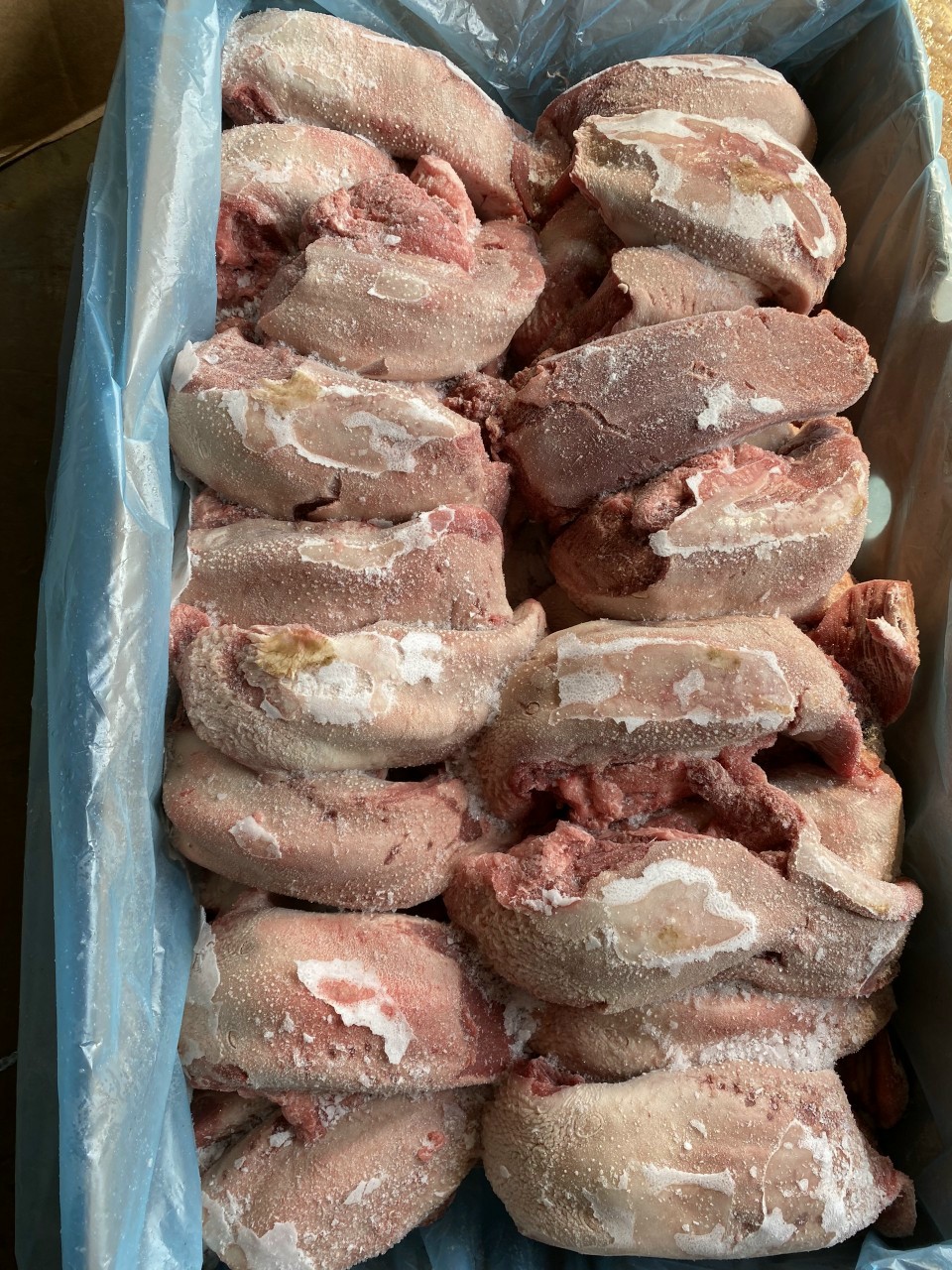 Lưỡi lợn nhập khẩu giá sỉ – Đảm bảo VSATTP