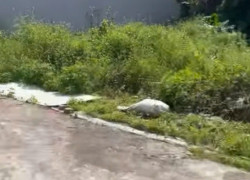 Bán đất 61,5m2 Kiến Phong An Dương Hải Phòng