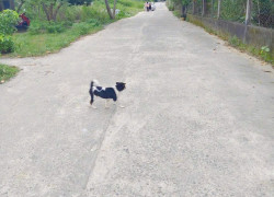 🟥🟥1,400 TRIỆU/100m2 ĐƯỜNG 6M