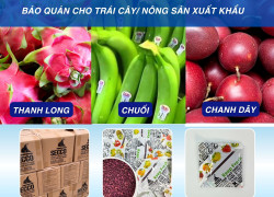 Gói Hút Khí Ethylene chống chín cho trái cây, nông sản