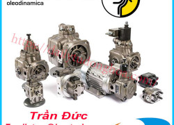 Nhà cung cấp Bơm Berarma tại Việt Nam