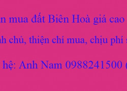 Cần Mua nhà đất Tp Biên Hoà, Đồng Nai giá cao mua chính chủ, chịu phí sang tên