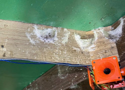 LOA RU CAO CẤP PRO-61W MÀU CAM SẴN DÂY CHUYÊN DỤNG HIỆU QUẢ CHO NHÀ YẾN