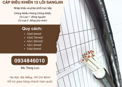 Cáp RVVP/ CXV 12x0.5/12x0.75/12x1.25/12x1.5/12x2.5 sẵn HCM