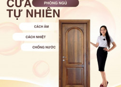 vửa gỗ tư nhiênn