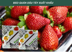 Gói Hút Khí Ethylene Secco Bảo quản cho Dâu tây xuất khẩu