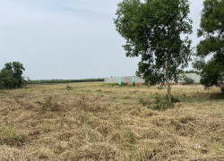 Bán đất vườn xã Lê Minh Xuân, Bình Chánh. Dt: 1000m2