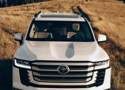 Cho thuê xe du lịch giá rẻ