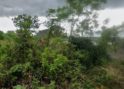 Đất nền tại Thôn 4, Hoàng Tân, Quảng Ninh diện tích 950 m2, giá bán 33,5 tỷ VND có thương lượng