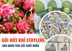 Gói Hút Ethylene Secco 5gam - Bảo quản cho trái cây nông sản xuất khẩu