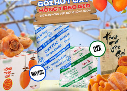 Chống mốc cho Hồng Treo Gió, dùng ngay gói hút oxy OXYTOC O2X Thịnh Phong!