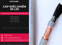 Cáp điều khiển 30x0.5/30x0.75/30x1.0/30x1.5 Altek Kabel