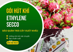 Chống Chín Sớm, Giữ tươi lâu cho nông sản, trái cây với gói hút khí Ethylene Secco 5gram