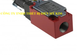 Công tắc hành trình Telemecanique XY2CJR19H29