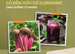 G.Organic - Vì sao sản phẩm hữu cơ thường có hạn sử dụng ngắn