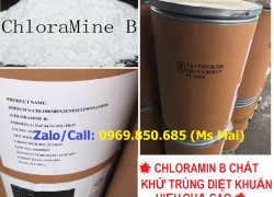 Chất Chloramin B Diệt khuẩn mạnh – Khử trùng nhanh – Giá tốt
