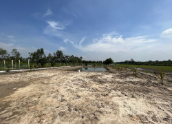 2000m2 đất vườn giá 2tr/m2 thương lượng tại thị trấn Bến Lức