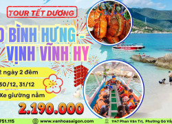 🎉 TOUR TẾT DƯƠNG 2025 – ĐẢO BÌNH HƯNG – VỊNH VĨNH HY (2N2Đ)