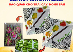 Gói Hút Ethylene Secco 5g: Chìa Khóa Giữ Lâu Trái Cây Tươi, Chống Úng Tuyệt Đối