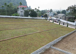 Bán đất nền lõi KCN Nhuận Trạch, khu nghỉ dưỡng Cư Yên, Lương Sơn, Hòa Bình giá hơn 4 triệu-m2