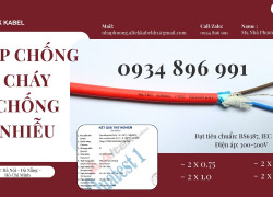 Cáp Chống Cháy Chống Nhiễu 2x1.5 Mm2 Giao Nhanh Thanh Hóa, Nghệ An, Hà Tĩnh.