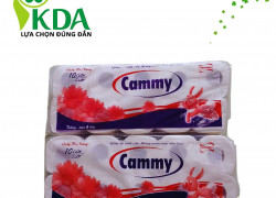 GIẤY VỆ SINH CUỘN NHỎ CAO CẤP DÀNH CHO KHÁCH SẠN bến tre