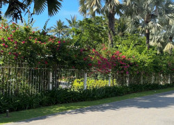 💎 TUYỆT PHẨM NHÀ PHỐ BIỂN ĐÀ NẴNG - MẶT TIỀN TÂN LƯU - NGANG 6M BỀ THẾ - FULL NỘI THẤT GỖ CAO CẤP