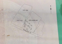 CẦN BÁN 364 M ĐẤT, BÊN CẠNH RỪNG DỪA 7MẪU HỘI AN.