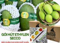Nhà Cung Cấp Gói Hút Khí Ethylene Secco 5g Cho Xoài - Trái Cây Xuất Khẩu