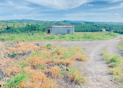 1,5 ha (15.000m2) full cafe vài tháng tuổi, ninh gia, lâm đồng