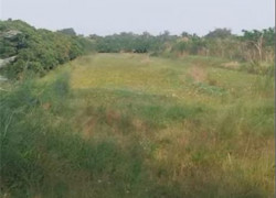 Bán Đất Nông Nghiệp 4678m2 Sổ Hồng MT 5m Đường Tám Sáng, Tân Bình, Châu Thành, Đồng Tháp. Giá 1.5 Tỷ.