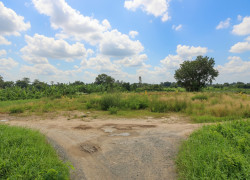 T1753 🔥 đất Thạnh Xuân 52 Hóc Môn, SHR, HXT, 55x51m, 16.x tỷ