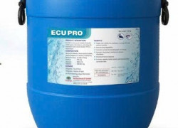 Phòng ngừa TPD ở tôm bằng ECUPRO