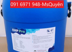 Phòng ngừa EHP ở tôm bằng EHP Pro