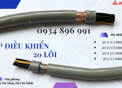 Cáp Tín Hiệu 20x 1.0 Mm2 Giao Ngay Quảng Nam, Quảng Ngãi, Quảng Bình.