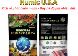 Humic dạng bột / dạng miễng hàng chất lượng giá tốt tại nhà máy