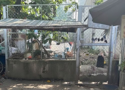 L1755 ⭐️⭐️ Giảm 400tr! đất Vuông Ung Văn Khiêm Bình Thạnh, SHR, HXT, 4.1x26m, 12.x tỷ