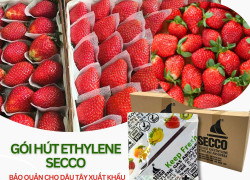 Gói Hút Khí Ethylene Secco 5g - Chống hư hỏng, bảo quản Dâu Tây