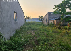 Bán Đất Thổ Cư Sổ Hồng 156m² đường Cai Dao, Tân Quy Đông, Sa Đéc, ĐTháp. Giá 1.35 Tỷ.